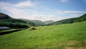 1.  Upper Tweed Valley from Stanhope  Farm